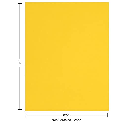 PA Paper Accents Stash Builder Cardstock 8.5" x 11" Raincoat Yellow