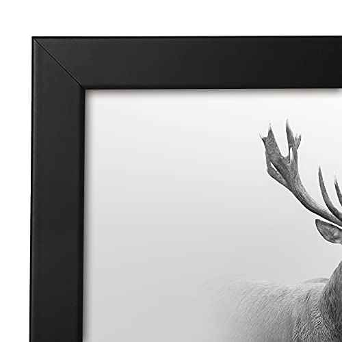 16x16 Poster Frame