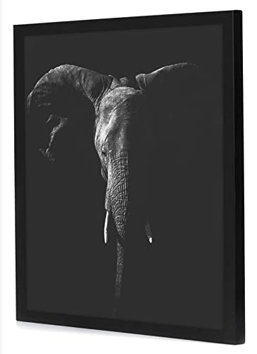 20x20 Poster Frame