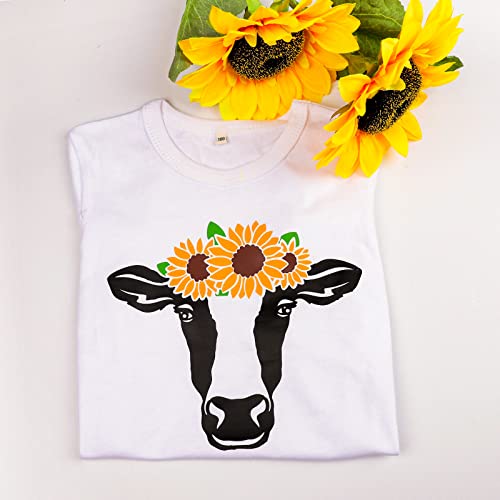 Black Heat Transfer Vinyl Roll 12" x12ft Matte HTV Vinyl