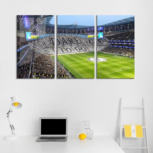 Tottenham Hotspur Stadium Tempered Glass Wall Art Painting for Living Room