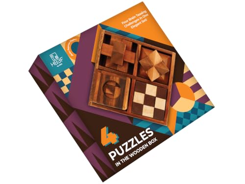 4 in 1 Wooden Brain Teaser Puzzles for Adults (4 Count)