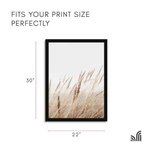 22x30 Poster Frame