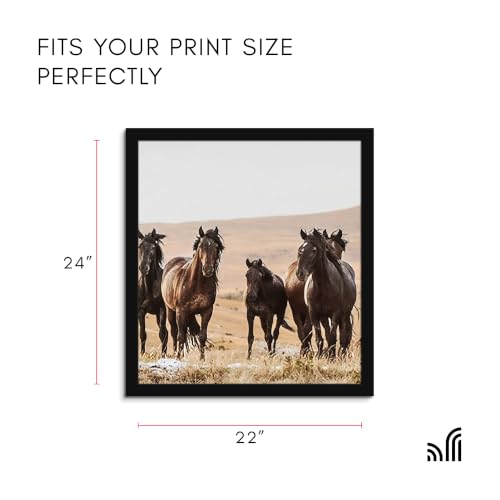 22x24 Poster Frame