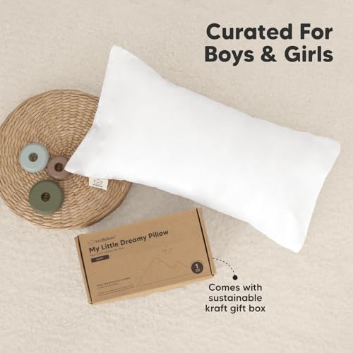 Toddler Pillow with Pillowcase
