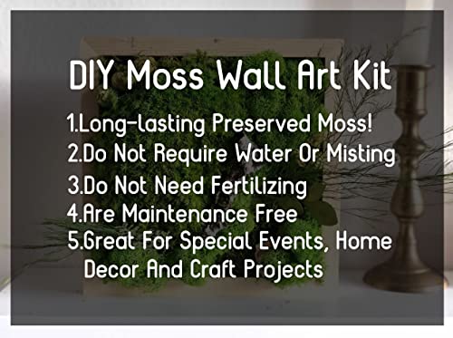 Preserved Reindeer Craft Moss Natural Green DIY Kit Gardenning Art Wall Florist Easter Table Wedding