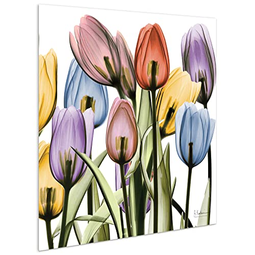 Frameless Free Floating Tempered Glass Panel Graphic Wall Art Ready to Hang