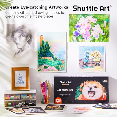 Professional Drawing Kit (123 Count)