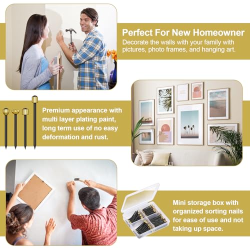 120PCS Nails for Hanging Pictures (120 Count)