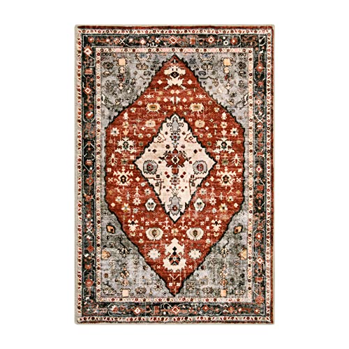 Felice Boho Tribal Area Rug