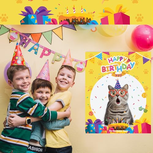 Cat Birthday Party Games for Kids