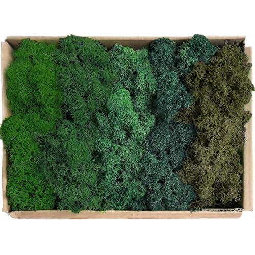 Preserved Reindeer Mix Craft Moss Natural Green DIY Kit Gardenning Art Wall Decor Florist Easter Table Decor Wedding Decor