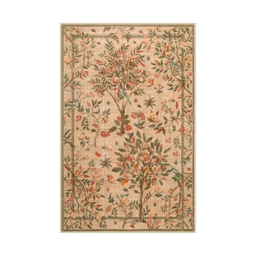 Machine Washable Area Rugs 5x7 (35 Sq Ft)