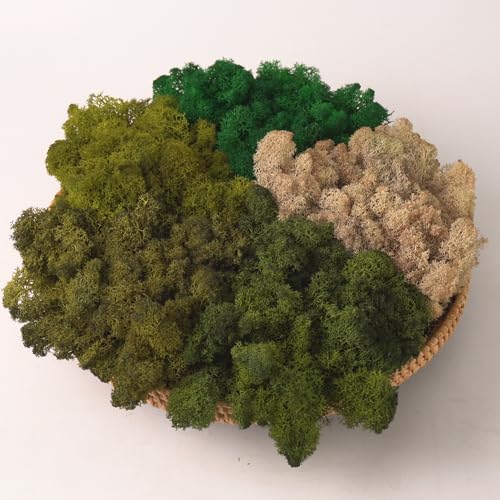 Preserved Reindeer Mix Craft Moss Natural Green DIY Kit Gardenning Art Wall Decor Florist Easter Table Decor Wedding Decor