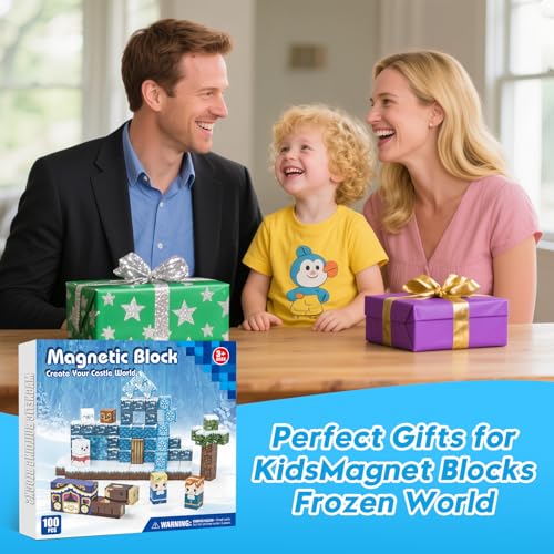 100pcs Magnetic Blocks