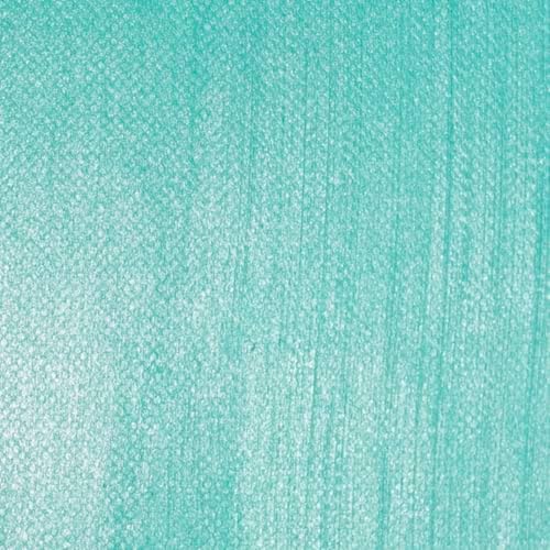Professional Spray Varnish (12 Fl Oz)