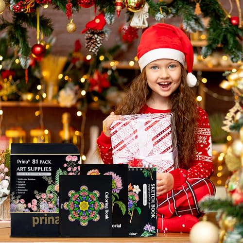 81 Drawing Set Sketching Kit (81 Count)