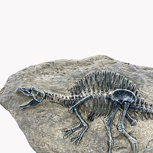 Resin Spinosaurus Dinosaur Fossil Statue Model Simulated Skeleton Home Office Display Decorative Craft Box Decoration