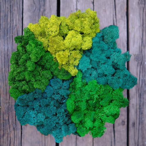 Preserved Reindeer Mix Craft Moss Natural Green DIY Kit Gardenning Art Wall Decor Florist Easter Table Decor Wedding Decor