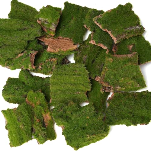 Assorted Artificial Moss Bark