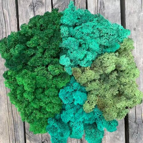 Preserved Reindeer Mix Craft Moss Natural Green DIY Kit Gardenning Art Wall Decor Florist Easter Table Decor Wedding Decor