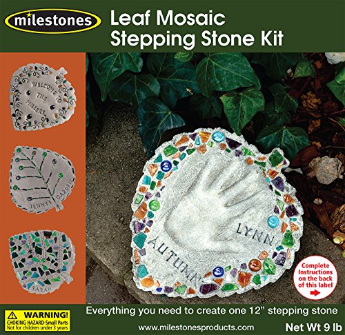 Mosaic Stepping Stone Kit