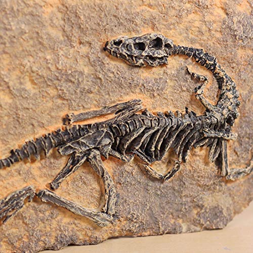 Resin Dinosaur Fossil Statue Model Simulated Skeleton Home Office Display Decorative Craft Box Decoration