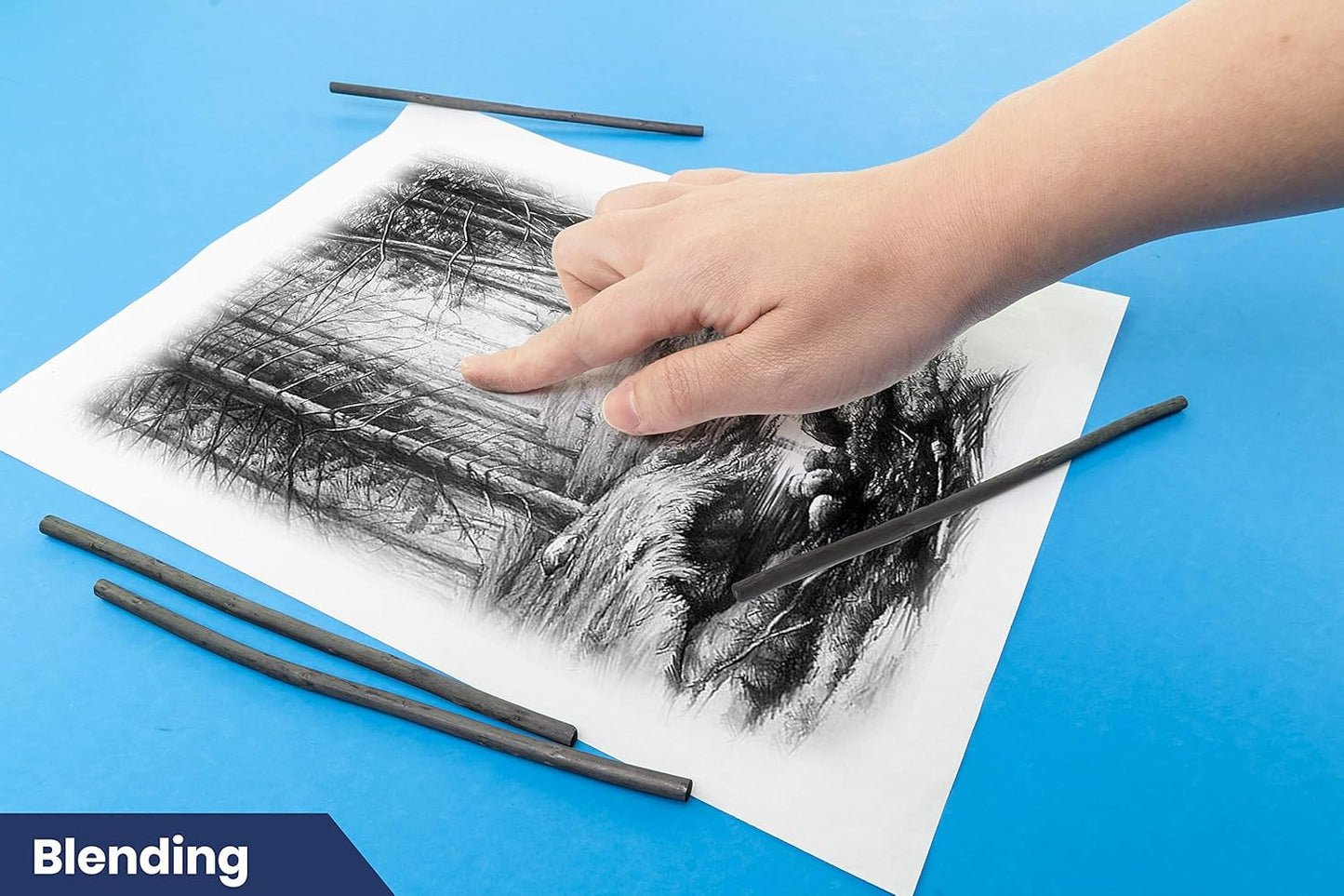 Pacific Arc Artist Vine Charcoal, Medium, Black 12 Pieces, Artist Vine Charcoal Sticks, Medium and Smooth Drawing Charcoal