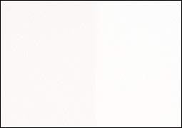 Extra Fine Oil Paint (5.07 Fl Oz)