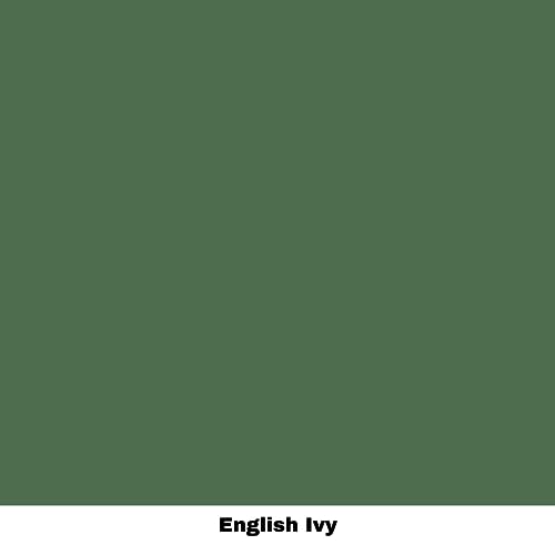 Chalk Mineral Paint (16 Fl Oz)