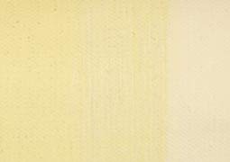 Extra Fine Oil Paint (2.03 Fl Oz)