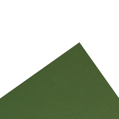 PA Paper Accents Stash Builder Cardstock 8.5" x 11" BParrot