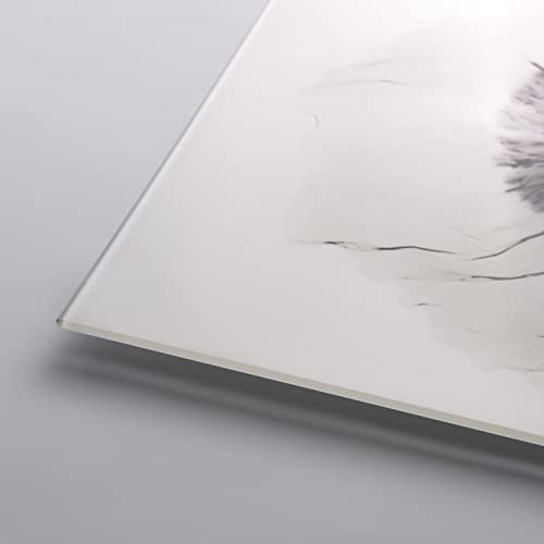 Frameless Free Floating Tempered Glass Panel Graphic Wall Art Ready to Hang