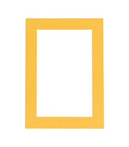Pack of 25 Acid Free 11x14 Mats Bevel Cut for 8.5x11 Photos (25 Count)