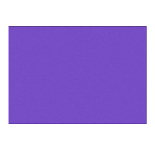 4Pcs A4 Gel Light Lighting Filter Overlay Transparent Color Correction Plastic Vinyl PVC Sheets Photography Television Matte Purple (4 Count)