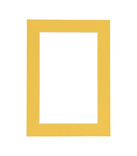 Pack of Ten 8.5x11 Mats Bevel Cut for 7x9 Photos (10 Count)