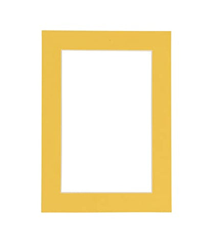 Pack of Ten Acid Free 11x14 Mats Bevel Cut for 9x12 Photos (10 Count)