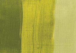 Extra Fine Oil Paint