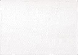 Extra Fine Oil Paint