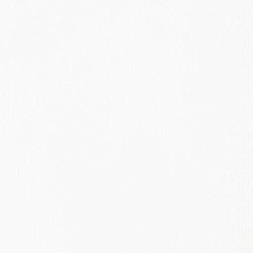 BASICS Acrylic Paint (13.5 Fl Oz)