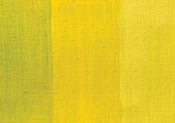 Extra Fine Oil Paint