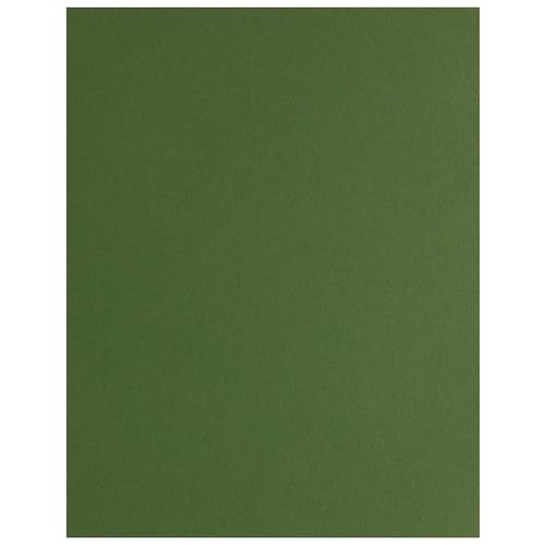 PA Paper Accents Stash Builder Cardstock 8.5" x 11" BParrot