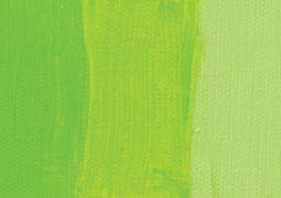 Extra Fine Oil Paint