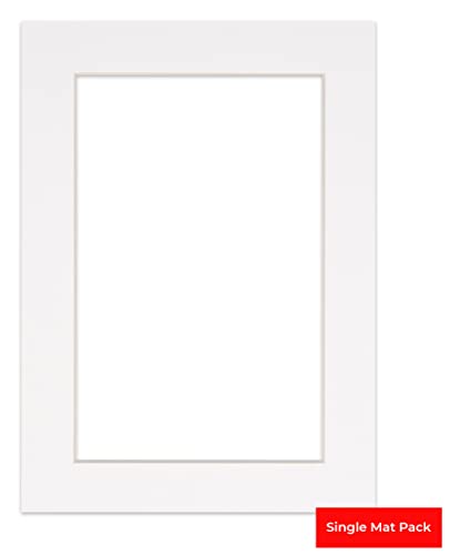 8x10 Mat Bevel Cut for 5.5x8.5 Photos