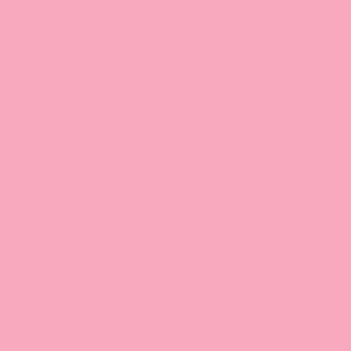 Seamless Photogrphy Background Paper