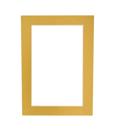 Pack of 25 Acid Free 8x10 Mats Bevel Cut for 5.5x8.5 Photos (25 Count)