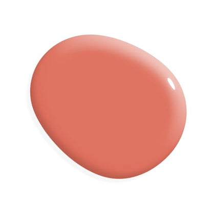 Chalk Based One Step Paint for Furniture (16 Fl Oz)