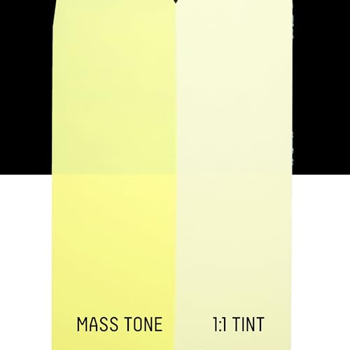 Heavy Body Acrylic Paint (2 Fl Oz)