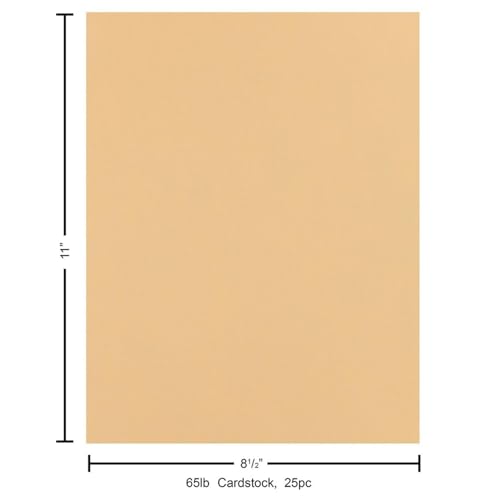 PA Paper Accents Stash Builder Cardstock 8.5" x 11" Latte