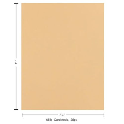 PA Paper Accents Stash Builder Cardstock 8.5" x 11" Latte